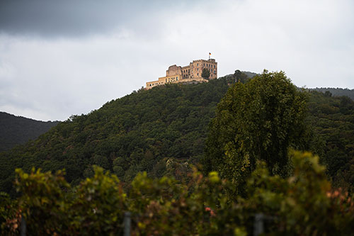Hambacher Schloss- Hambach Castle on cloudy day